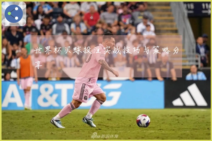 世界杯买球投注实战技巧与策略分享
