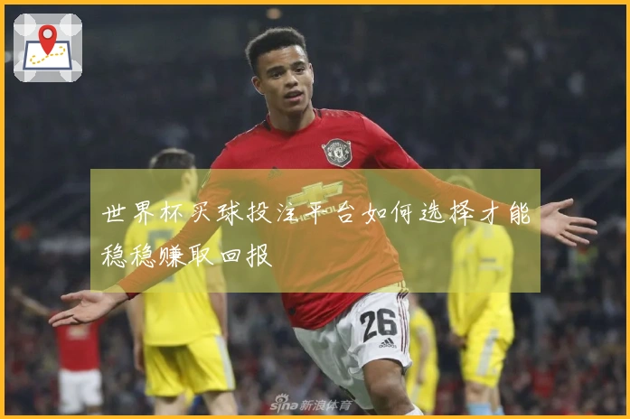 世界杯买球投注平台如何选择才能稳稳赚取回报
