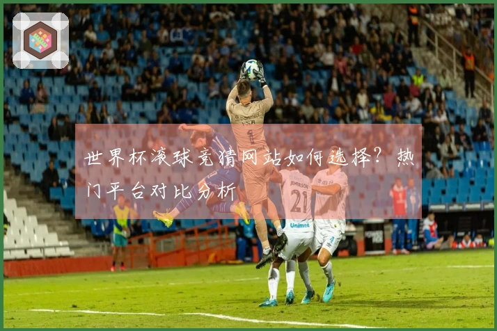 世界杯滚球竞猜网站如何选择？热门平台对比分析