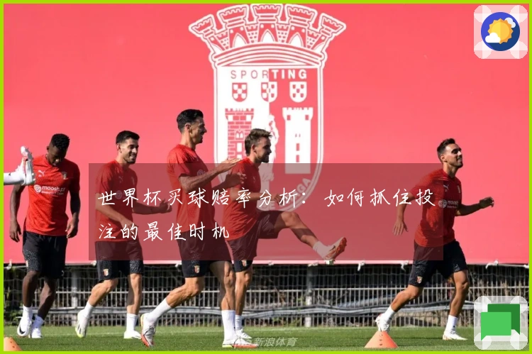 世界杯买球赔率分析：如何抓住投注的最佳时机