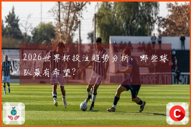 2026世界杯投注趋势分析，哪些球队最有希望？
