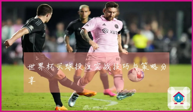 世界杯买球投注实战技巧与策略分享