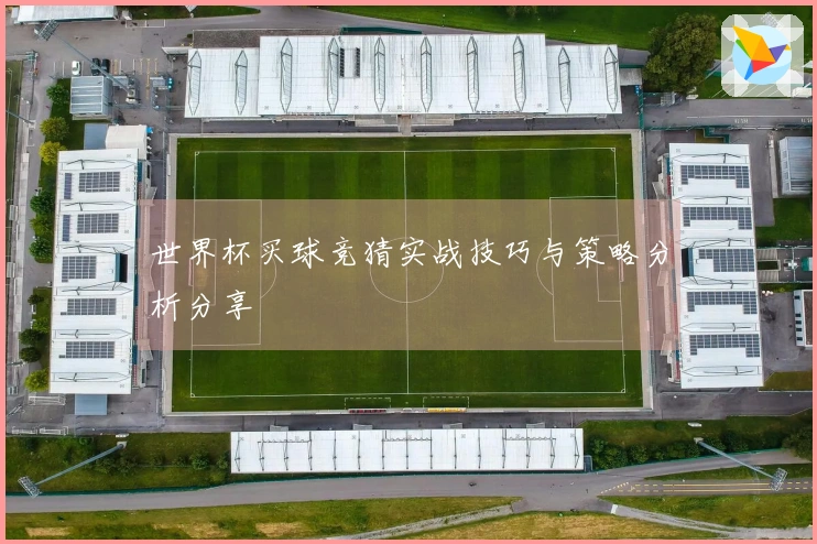 世界杯买球竞猜实战技巧与策略分析分享