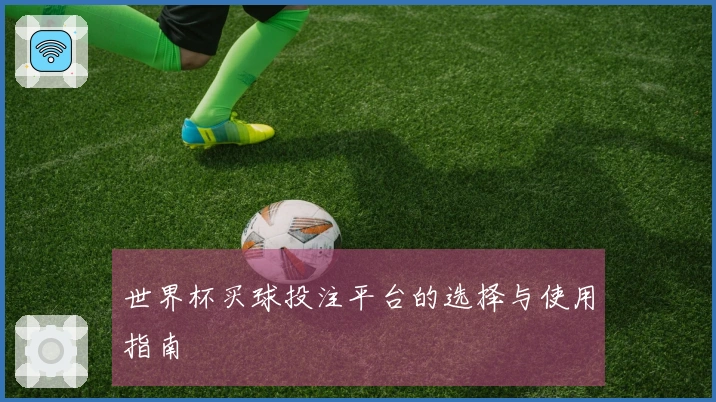 世界杯买球投注平台的选择与使用指南