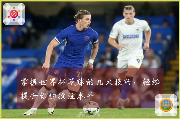 掌握世界杯滚球的几大技巧，轻松提升你的投注水平