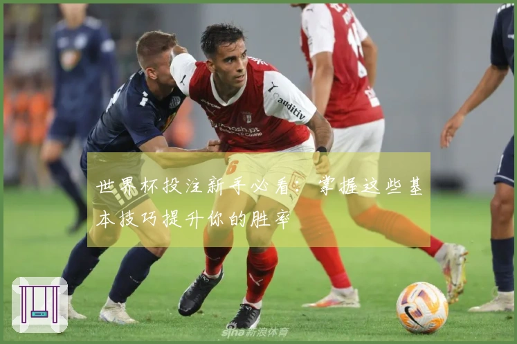 世界杯投注新手必看：掌握这些基本技巧提升你的胜率