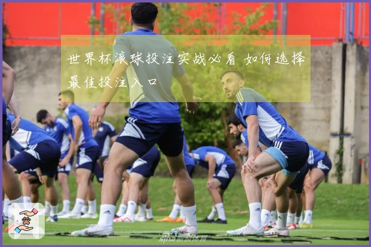 世界杯滚球投注实战必看 如何选择最佳投注入口