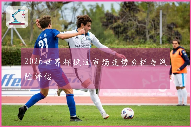 2026世界杯投注市场走势分析与风险评估