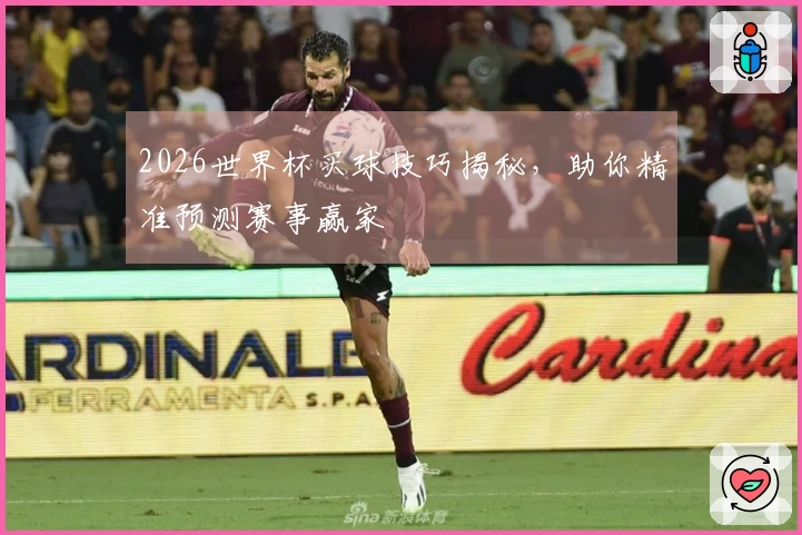 2026世界杯买球技巧揭秘，助你精准预测赛事赢家